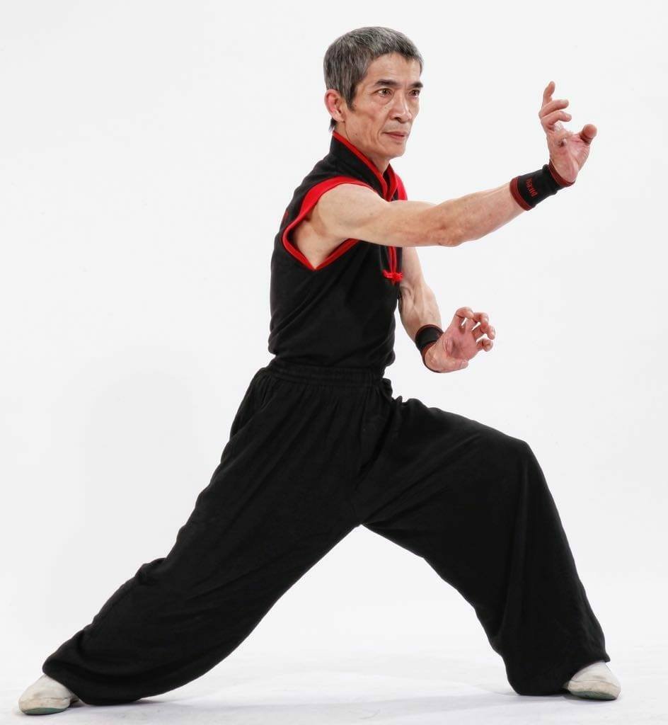 Choy Lee Fut tradicional